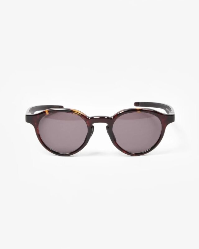 Eyevol TANON (49)