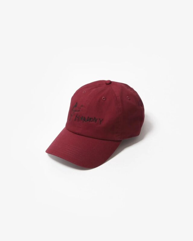 TODAY edition Harmony Cap [T-006]